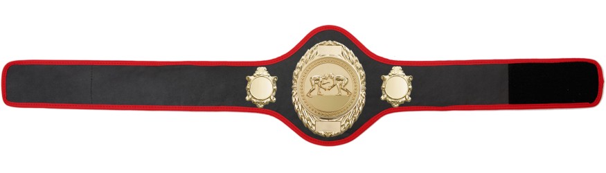 GRAPPLING CHAMPIONSHIP BELT-PRO286/G/GRAPPG-10+ COLOURS